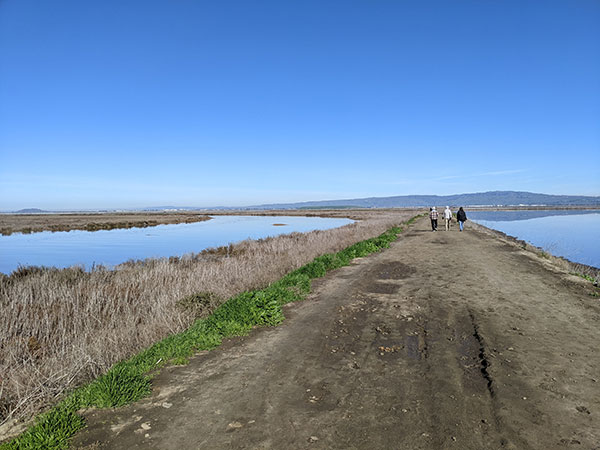 Eliminate Risk from Flooding and Rising Seas